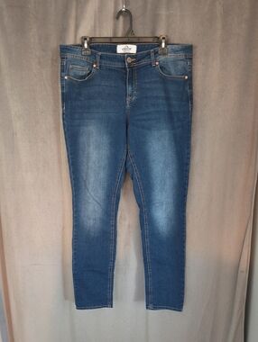 Jordache Size 14 Women's Medium Wash Skinny Jeans in Blue